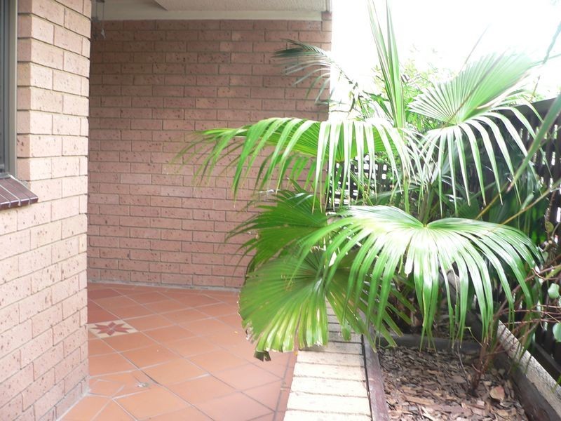 52/61-65 Macarthur Street, Ultimo NSW 2007