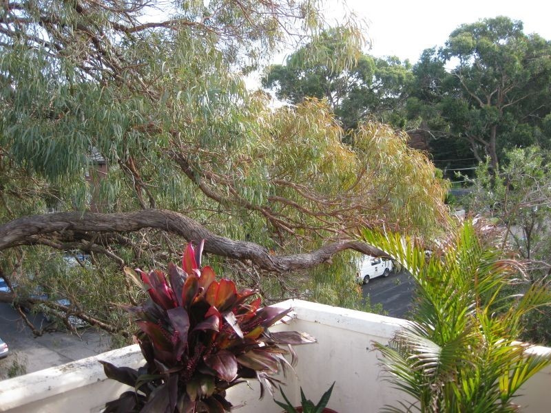 7/34 Talara Road, Gymea NSW 2227