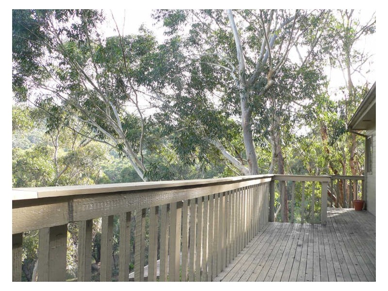 37 Hovea Place, Grays Point NSW 2232