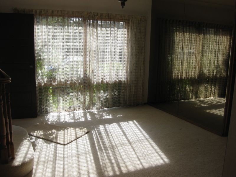 159 Ewos Parade, Cronulla NSW 2230