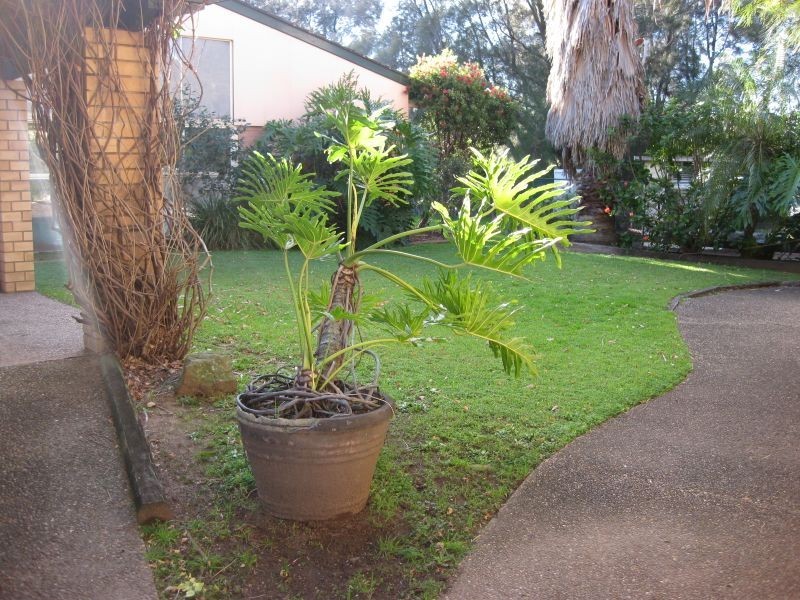 11/3 Ramu Close, Sylvania Waters NSW 2224