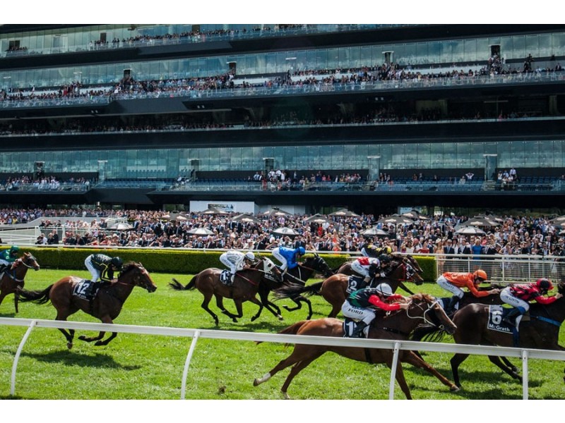 2/78 Alison Road, Randwick NSW 2031