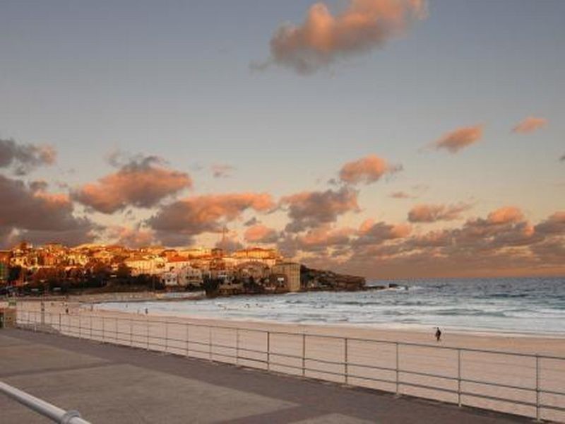 3/124 Warners Avenue, Bondi Beach NSW 2026