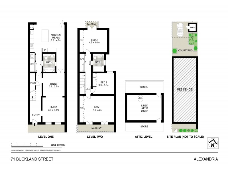 71 Buckland Street, Alexandria NSW 2015 Floorplan