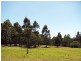 Lot 37 The Estuary Estate, Mossy Point NSW 2537