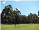 Lot 38 The Estuary Estate, Mossy Point NSW 2537