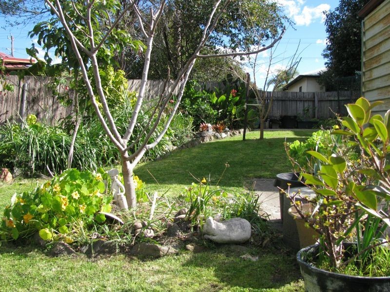 1 Shore Street, Moruya NSW 2537