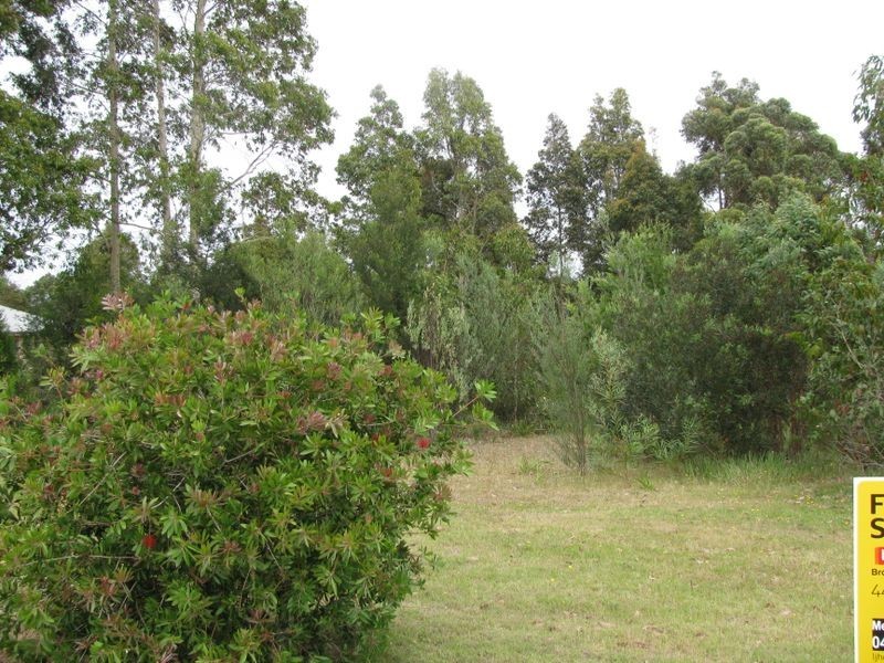 Lot 60 The Estuary Estate, Mossy Point NSW 2537