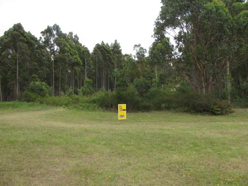 Lot 54 The Estuary Estate, Mossy Point NSW 2537