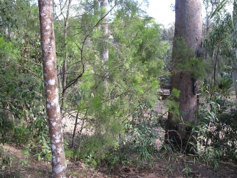 61 Annetts Parade, Mossy Point NSW 2537