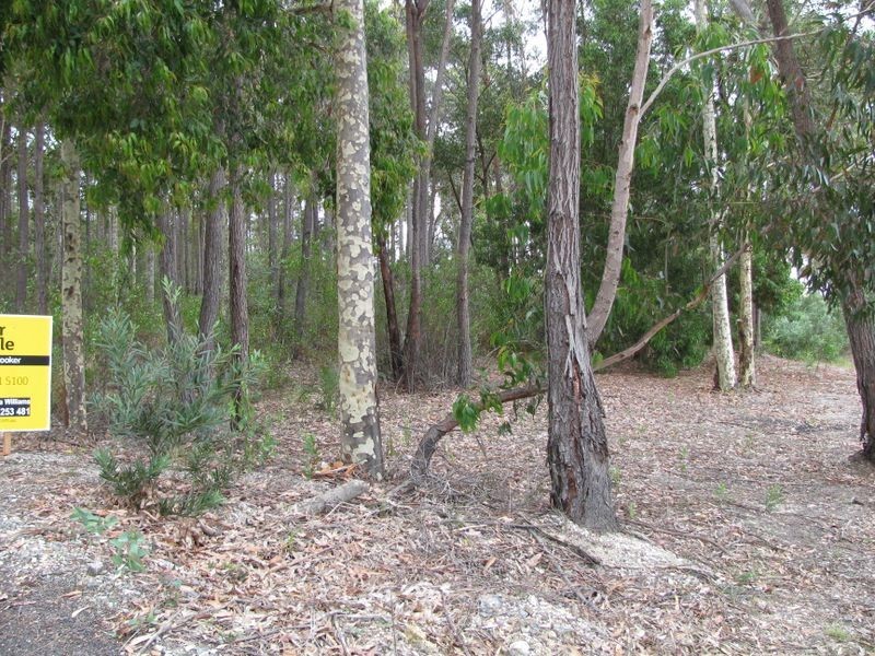 Lot 55 The Estuary Estate, Mossy Point NSW 2537