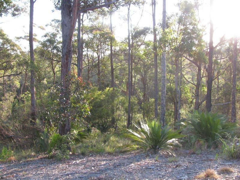 Lot 5 Rosedale Ridge, Rosedale NSW 2536