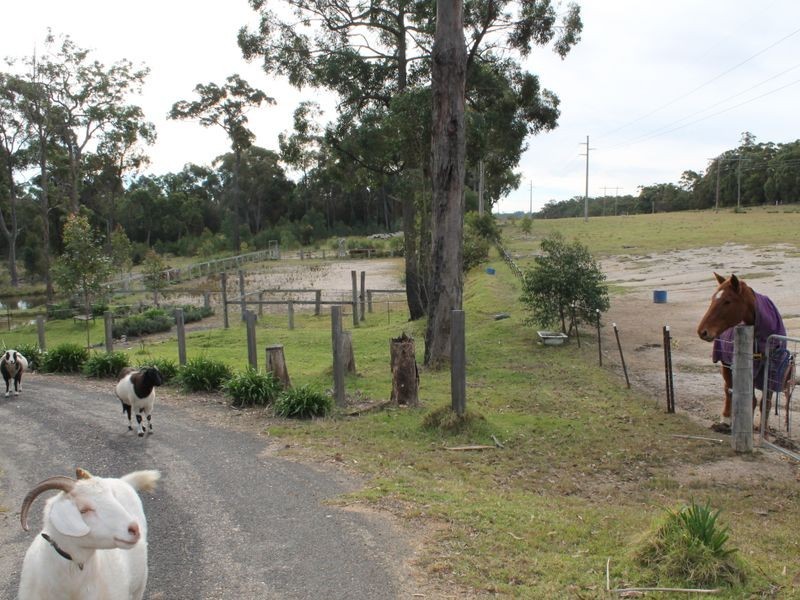 130 Bimbimbie Road, Mogo NSW 2536