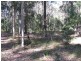 97 Bimbimbie Road, Bimbimbie NSW 2536