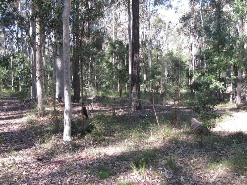 97 Bimbimbie Road, Bimbimbie NSW 2536