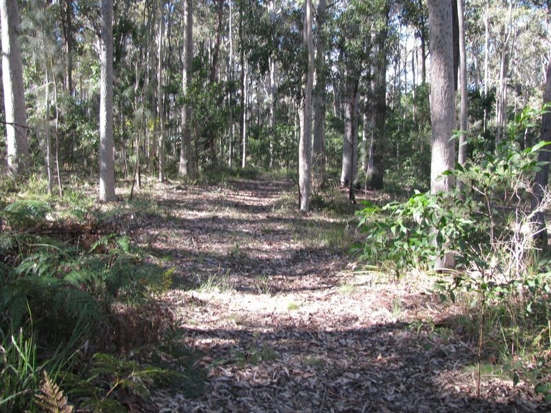 97 Bimbimbie Road, Bimbimbie NSW 2536
