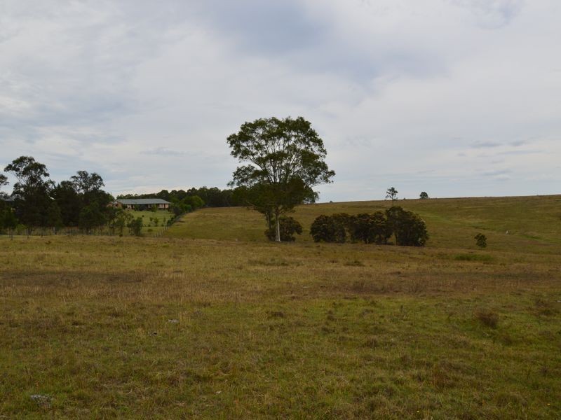 Lot 101 Rosehill Place, Branxton NSW 2335