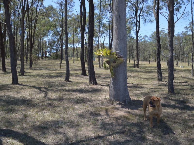 9/2 Blackburn Close, Rothbury NSW 2320