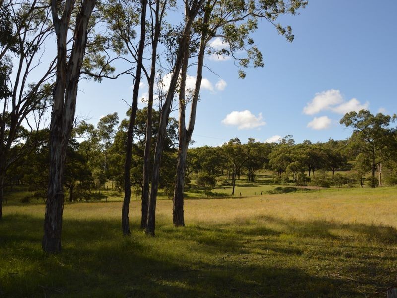 42 Lindsay Road, North Rothbury NSW 2335