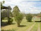 31 Cessnock Road, Branxton NSW 2335