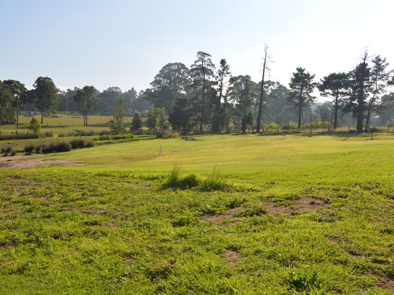 2 3 & 4/17 Evans Street, Greta NSW 2334