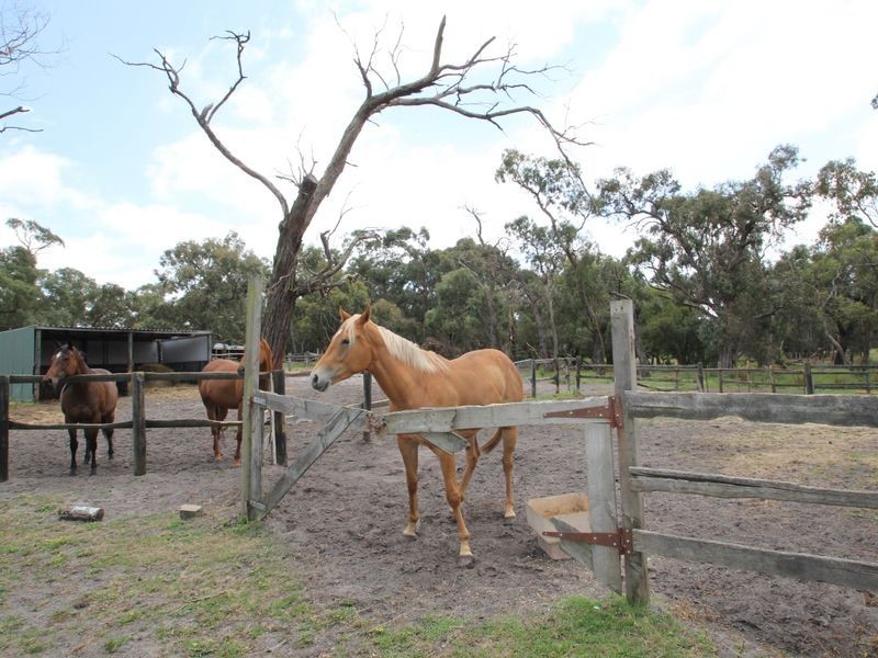 695 North Road, Cranbourne South VIC 3977