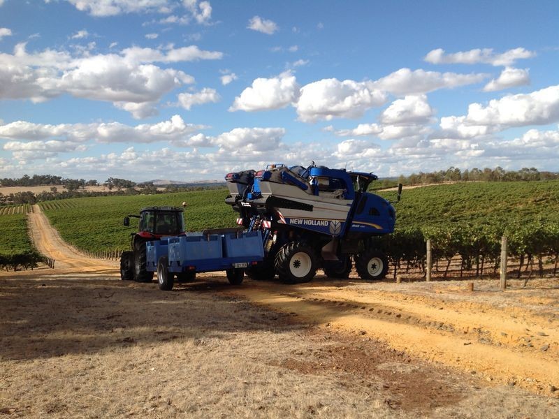 295 Sugarloaf Road, Great Western VIC 3377