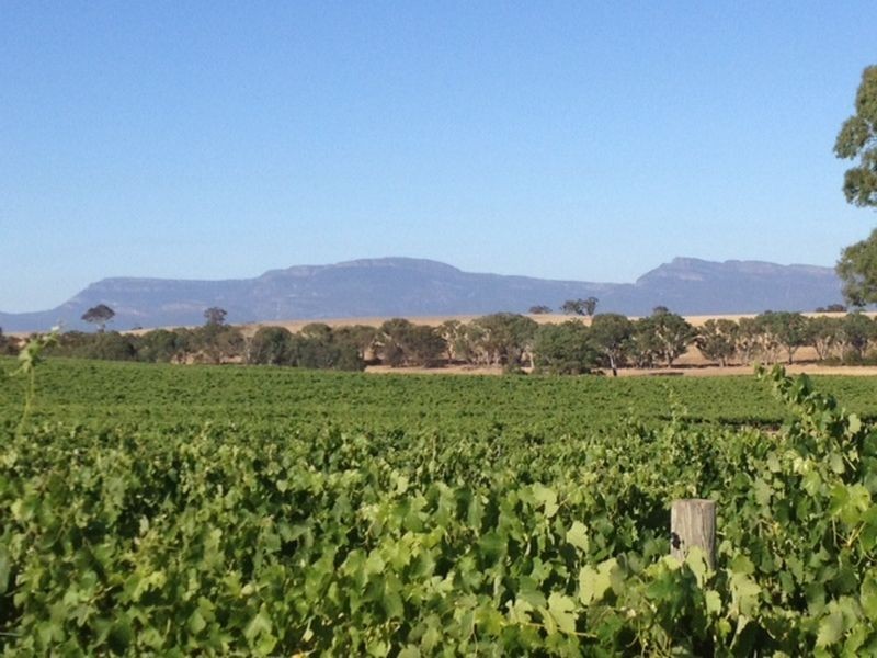 295 Sugarloaf Road, Great Western VIC 3377