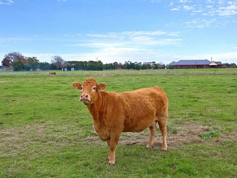 385 Koo Wee Rup- Longwarry Road, Longwarry VIC 3816