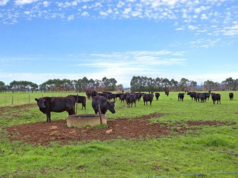 385 Koo Wee Rup- Longwarry Road, Longwarry VIC 3816