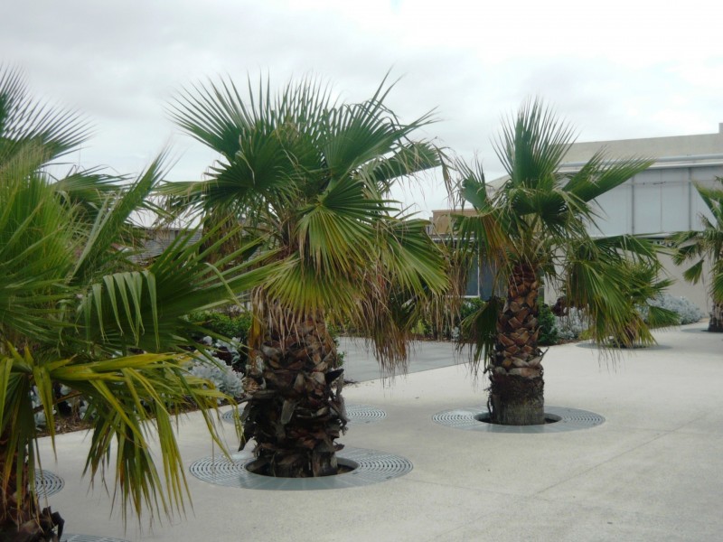 1/35 Keith Avenue, Edithvale VIC 3196