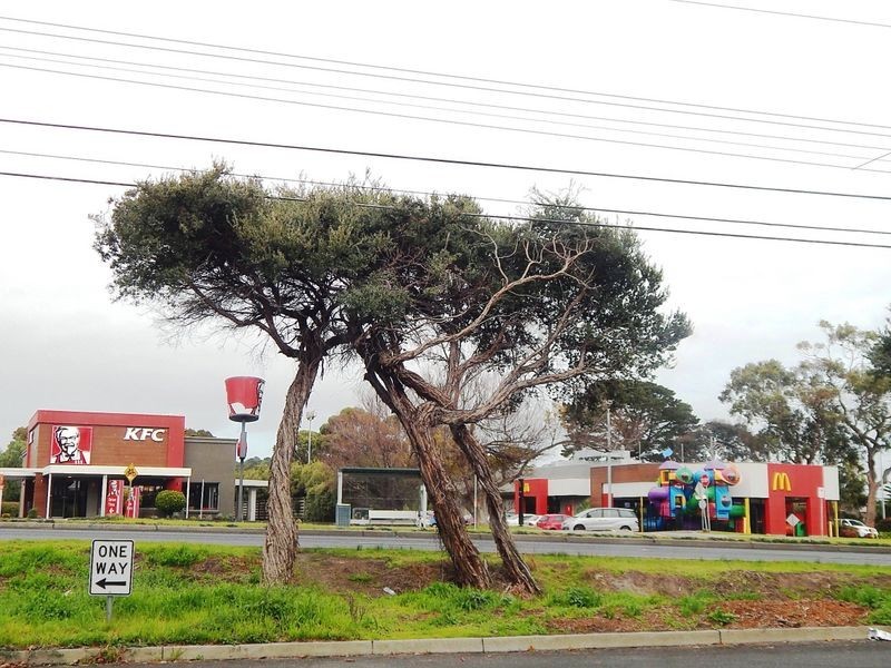 29 Wynden Drive, Frankston VIC 3199