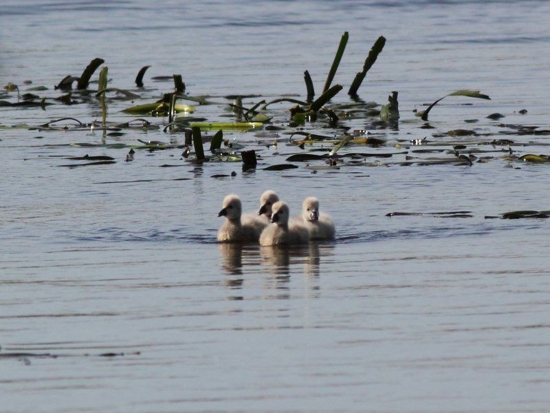 278-279 Nepean Highway, Edithvale VIC 3196