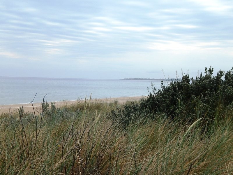 8/18 Avondale Avenue, Chelsea VIC 3196