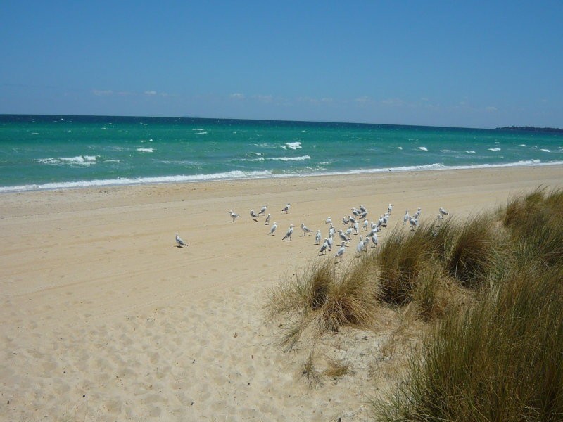 Apartment 8/195 Station Street, Edithvale VIC 3196