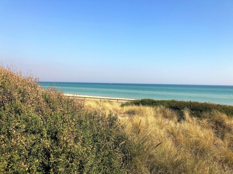 1/18 Avondale Avenue, Chelsea VIC 3196