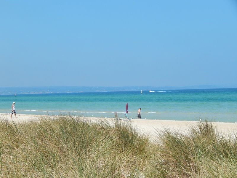 22 Swansea Road, Chelsea VIC 3196