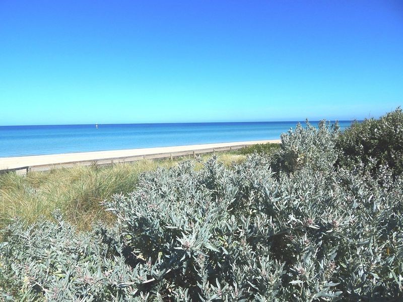 11/18 Avondale Avenue, Chelsea VIC 3196