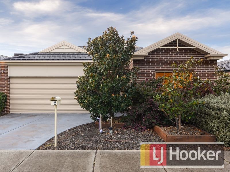 12 Aldous Place, Cranbourne North VIC 3977
