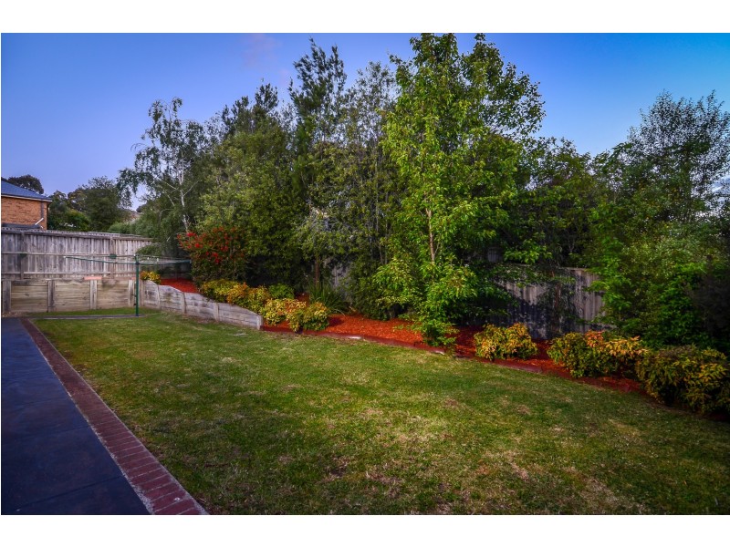 6 Carrick Place, Berwick VIC 3806