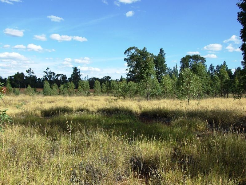 LOT 17 BANJARRA DRIVE, Charleville QLD 4470
