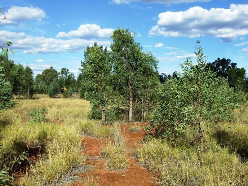 LOT 17 BANJARRA DRIVE, Charleville QLD 4470