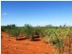 LOT 30 ALBERT PARK ROAD, Charleville QLD 4470