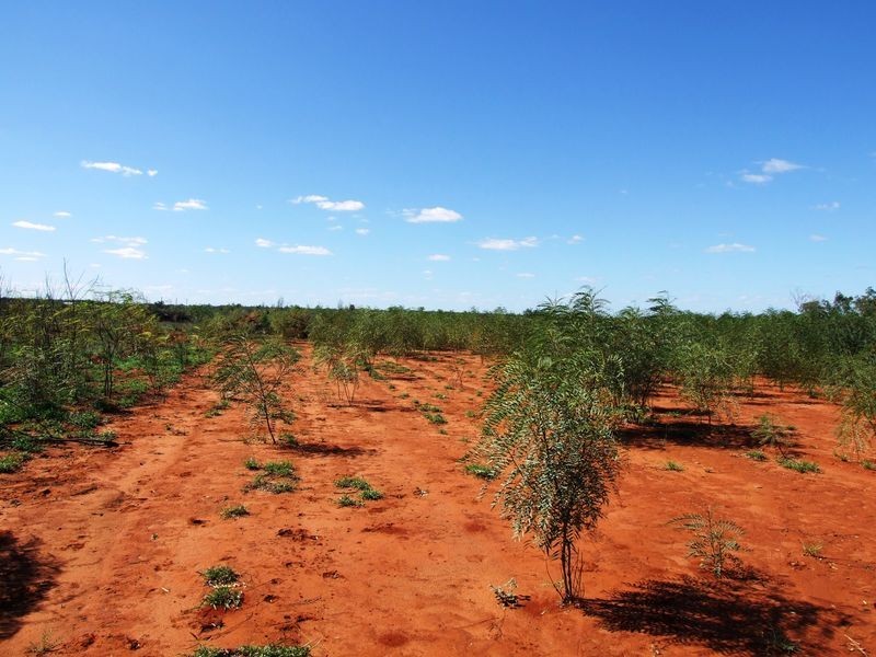 LOT 30 ALBERT PARK ROAD, Charleville QLD 4470
