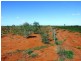 LOT 30 ALBERT PARK ROAD, Charleville QLD 4470