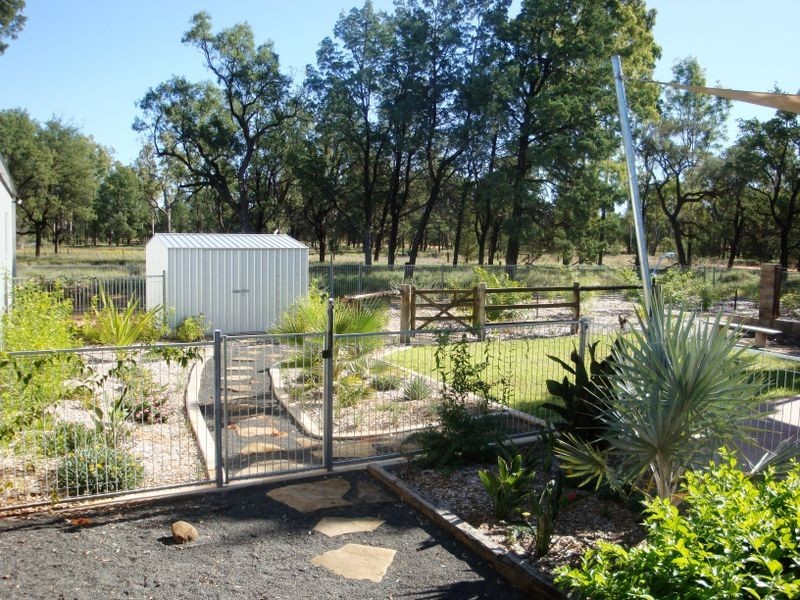 39 BANJARRA DRIVE, Charleville QLD 4470