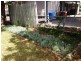 21 William Street, Roma QLD 4455
