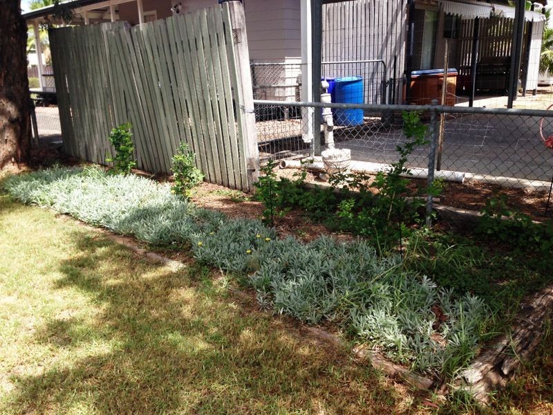 21 William Street, Roma QLD 4455