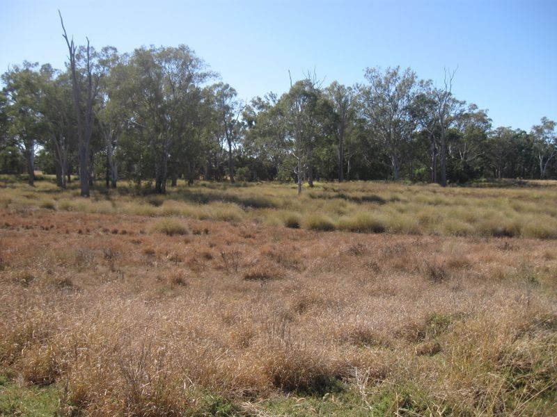 Off Warrego Highway, Yuleba QLD 4427