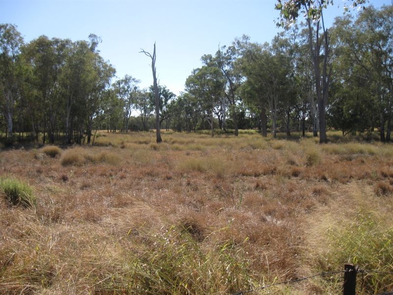 Off Warrego Highway, Yuleba QLD 4427